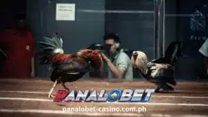 Kabisaduhin ang sining ng paglalaro ng online Sabong ang aming maingat na ginawang mga gabay at maging isang kampeon sa virtual na sabungan.
